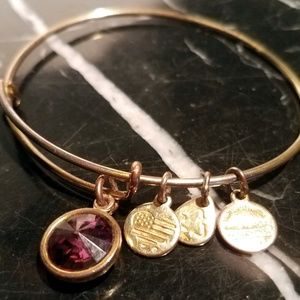 Alex and Ani February Birthstone AMETHYST Rafaelia